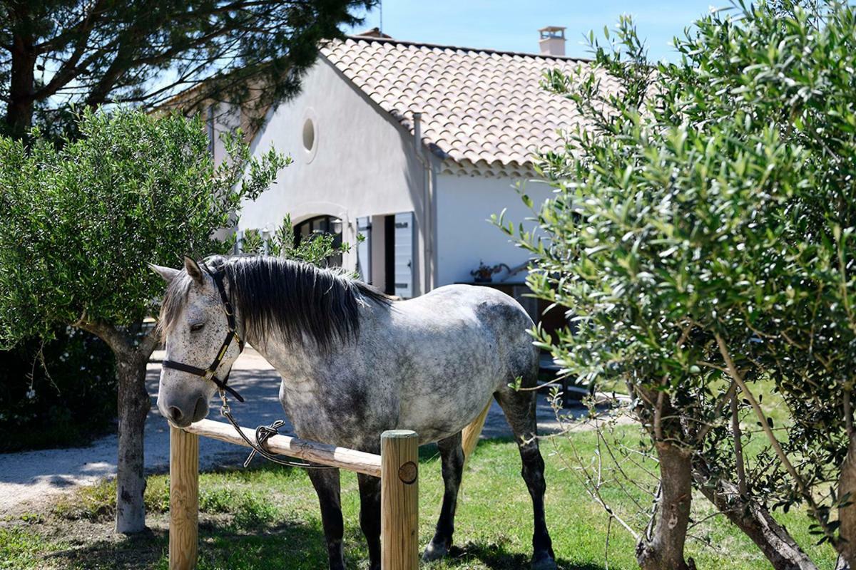 Mas Trinita Gite Equestre En Camargue Arles Exterior photo